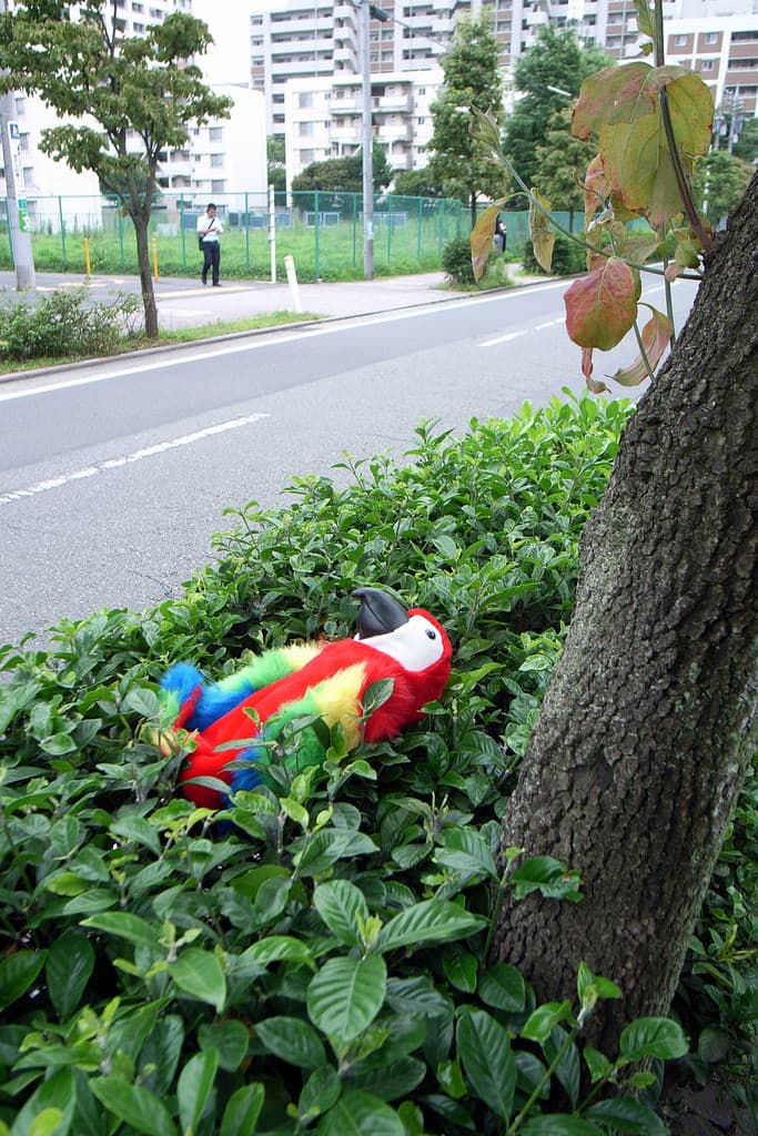 So Long vSphere Thick Client, Hello Web Client